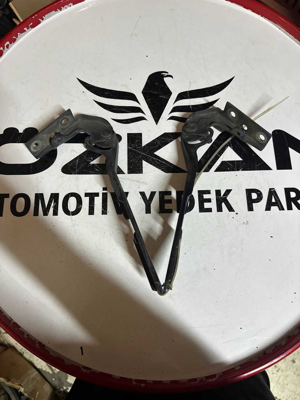Audi A4 Kaput Menteşesi - Sağ ve Sol - Görsel 1