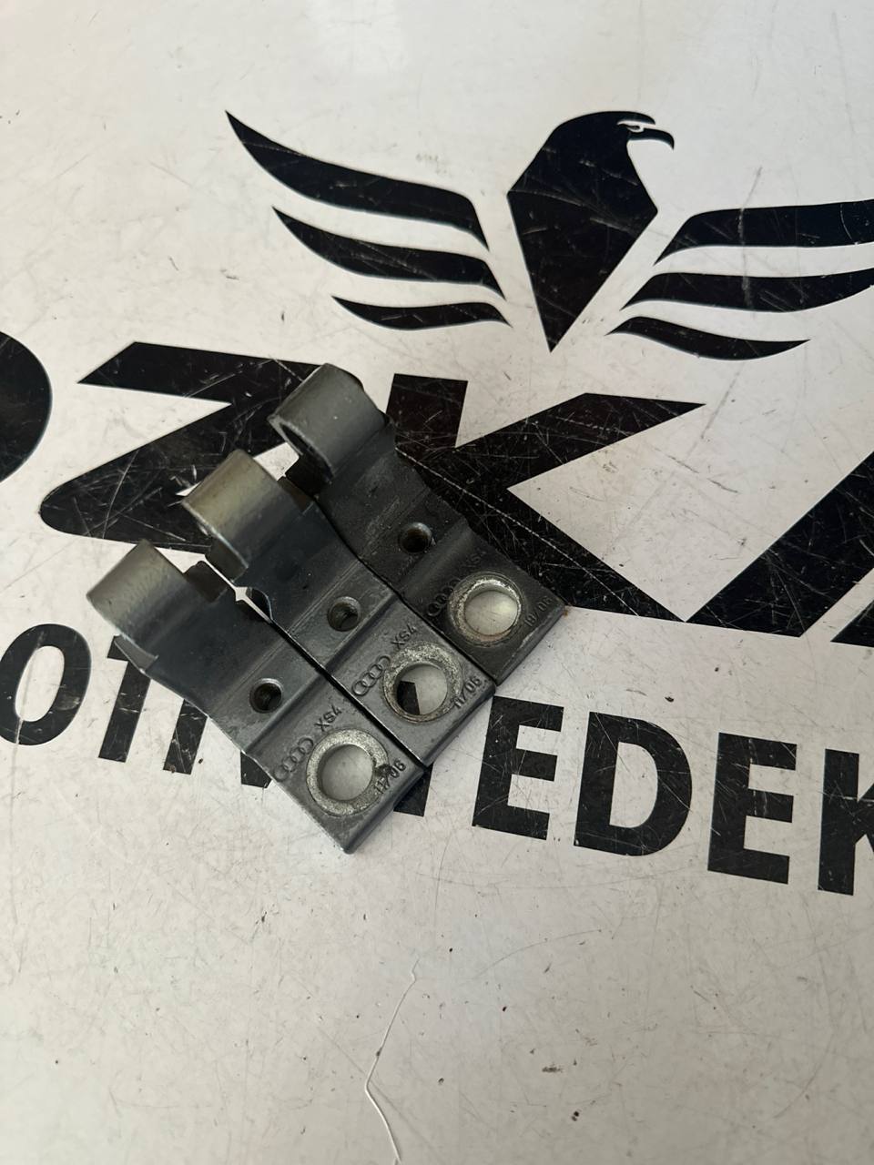Audi XS4 Kapı Menteşesi - Görsel 1